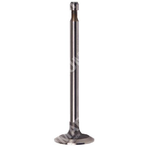 Soupape d'admission pour moteurs BRIGGS & STRATTON - 011887