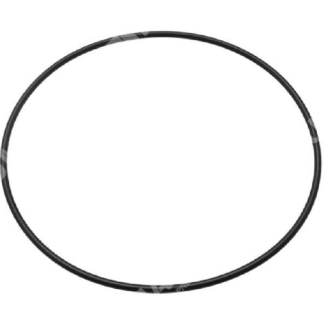 Joint torique pour électropompes COMPATIBLES ELPUMPS - 047196