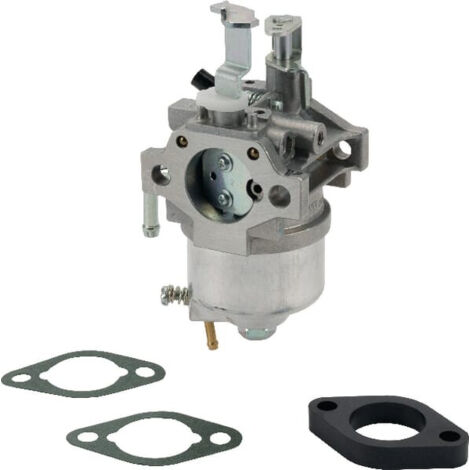 Carburateur B&S à cuve pour tondeuse à gazon B&S 85432 85462 026050 (1/2)