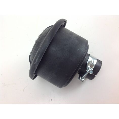 Filtre à air ACME moteur motoculteur AL 290 BCS 001579 (1/4)