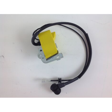Bobine d'allumage EFCO pour tronçonneuse 199 099900675DR (1/4)
