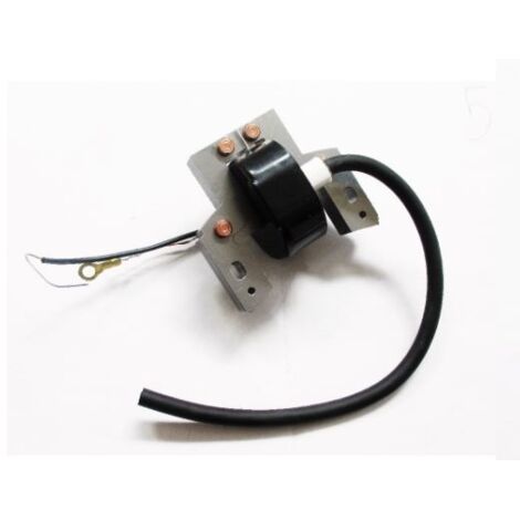 Bobine d'allumage électronique compatible BRIGGS & STRATTON pour tracteur de pelouse 5 CV (1/3)