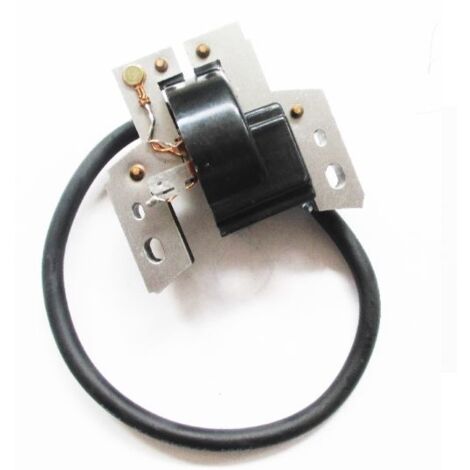 Bobine d'allumage électronique compatible BRIGGS STRATTON pour tondeuse EUROPA 802574 (1/3)