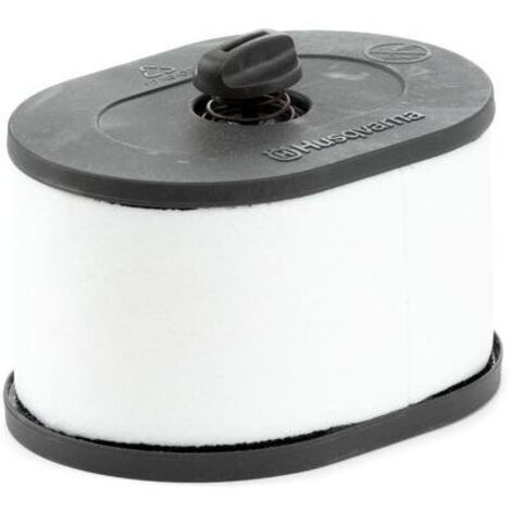 Lot De 10 Filtres à Air Compatibles Avec Débroussailleuse