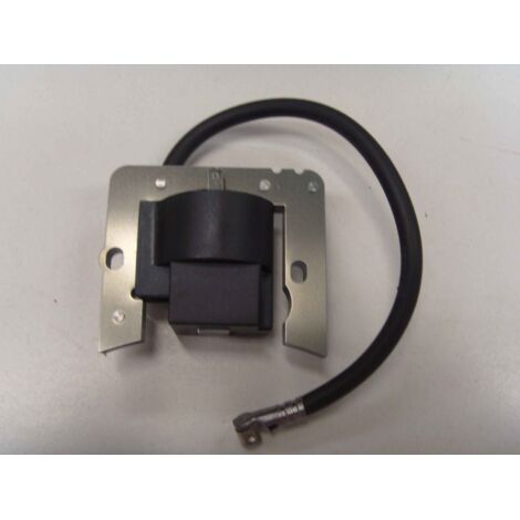 Bobine moteur tracteur tondeuse 8 à 11 CV TECUMSEH 35135 310072 (1/4)
