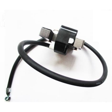 Bobine d'allumage électronique compatible BRIGGS & STRATTON pour tracteur 7 CV (1/3)