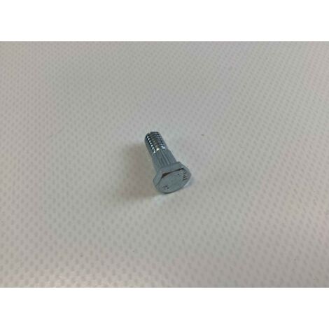 M6x16 BL0010 ORIGINAL GIANNI FERRARI 00.92.10.0001 vis pour lame de cisaillement (1/3)