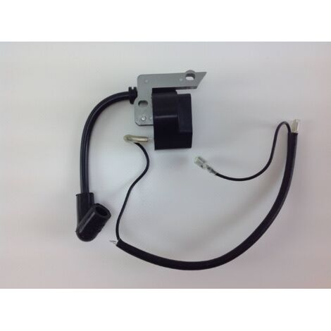 PROGREEN Bobine d'allumage pour PG 31 BL moteurs de souffleurs 029296 (1/4)