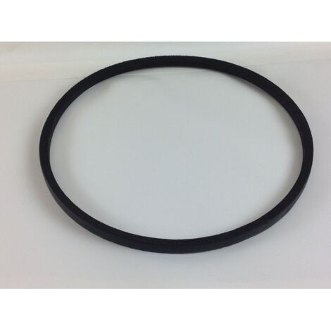 Courroie de traction pour tondeuse TAURUS 51 T 2012013 (1/3)