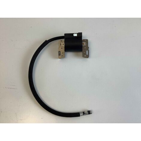 VANGUARD-OHV bobine moteur tracteur pelouse BRIGGS&STRATTON 591459 ORIGINAL (1/3)