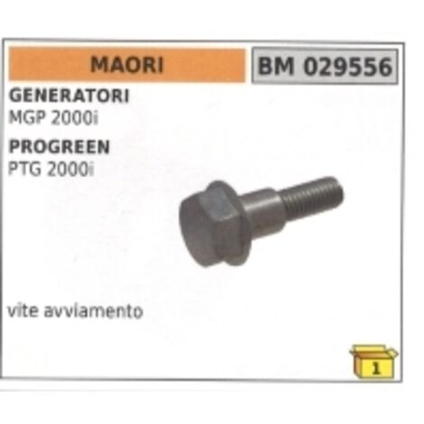 Vis de démarrage MAORI générateur MGP 2000i progreen PTG 2000i code 029556