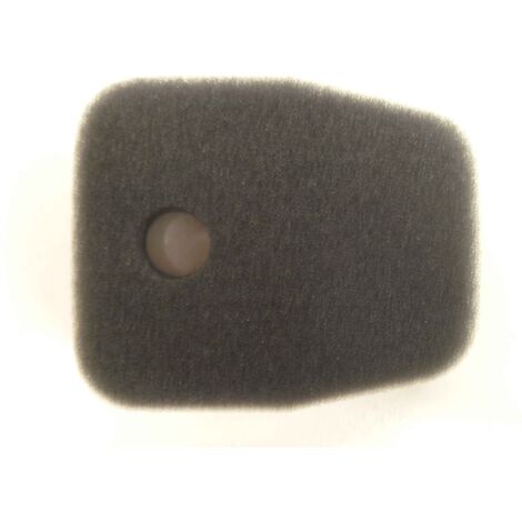 Filtre à air pour tronçonneuse THT210 TAS-TANAKA 446-06500-20 191908 (1/2)