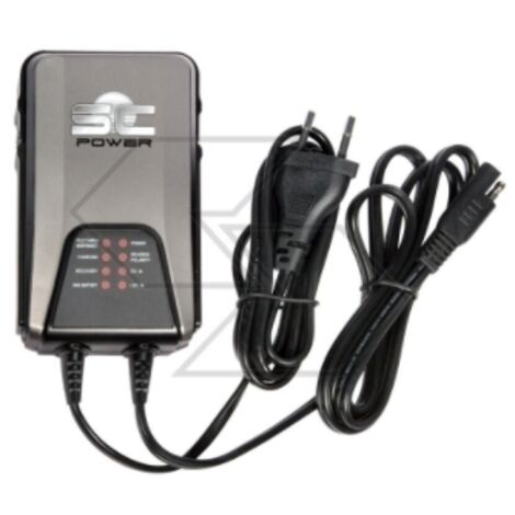 Chargeur de batterie universel avec maintien de la charge pour batterie acide (1/3)