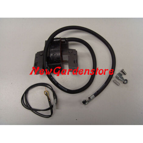 BRIGGS & STRATTON 8-11 HP moteur tondeuse bobine 398811 (1/4)