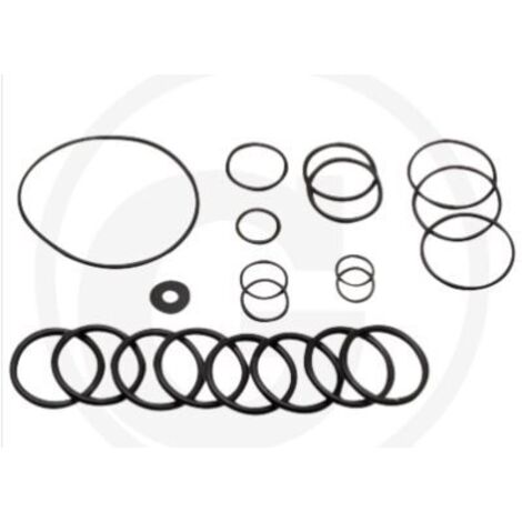 Kit O-RING à partir de 2010 pour pompe à membrane AR215 bp C/C blue flex ANNOVI 67042513