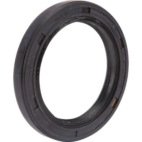 Joint d'huile original pour moteur de tondeuse à gazon BRIGGS & STRATTON 491019 (1/3)