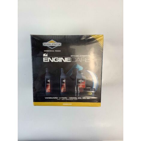 Kit manutenzione trattorino rasaerba originale BRIGGS & STRATTON  29 30 35 14HP-20HP (1/4)