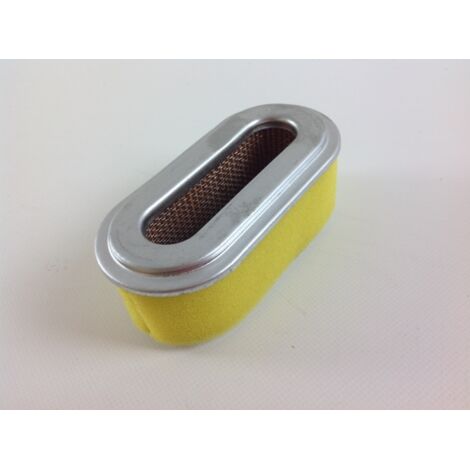 Cartouche de filtre à air pour moteur de tondeuse à gazon BRIGGS ROBIN EH18 EX13 EX17 EY21 100551 (1/4)