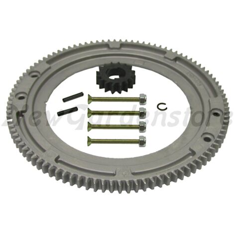 Pignon pour moteur de démarrage compatible BRIGGS 696537 399676 392134