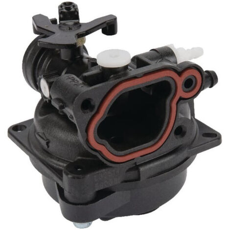 Carburateur Briggs et Stratton - 593247 (1/3)
