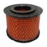 Filtre à carburant air HATZ tondeuse 100018