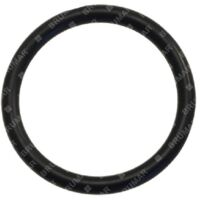 Joint torique pour pompes BERTOLINI COMPATIBLES - 016183
