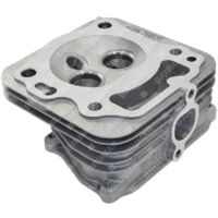 Culasse pour moteurs DAYE - DAYEE Y8110000000 - 055896