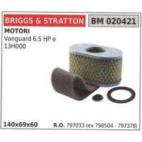 BRIGGS&STRATTON filtre à air tondeuse tondeuse vanguard 6.5HP