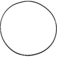 Bague pour motopompes KOSHIN - COMPATIBLE MITSUBISHI - 002787