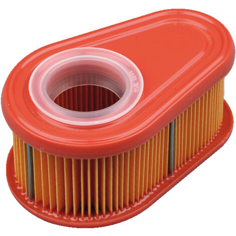Luftfilter für Rasenmäher kompatibel BRIGGS & STRATTON 3-396 792038 (1/2)