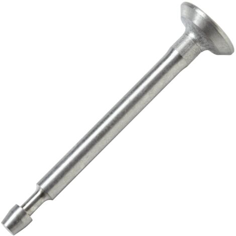 ORIGINAL BRIGGS&STRATTON Rasentraktormotor Auslassventil 100200 555077