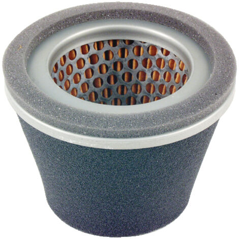 Luftfilter für Rasenmähermotor ROBIN EY28 234-62607-07 234-32605 (1/2)