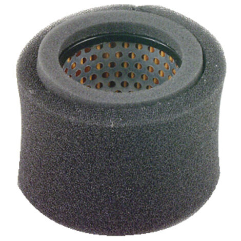 Luftfilter kompatibel mit 4-Takt-Motor-Rasenmäher ROBIN EY10 128-32602-07 (1/2)
