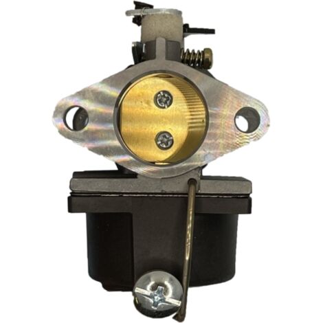Vergaserkompatibler Motor TECUMSEH OHV 110 - 120 - 130 AG 0440017 (1/4)