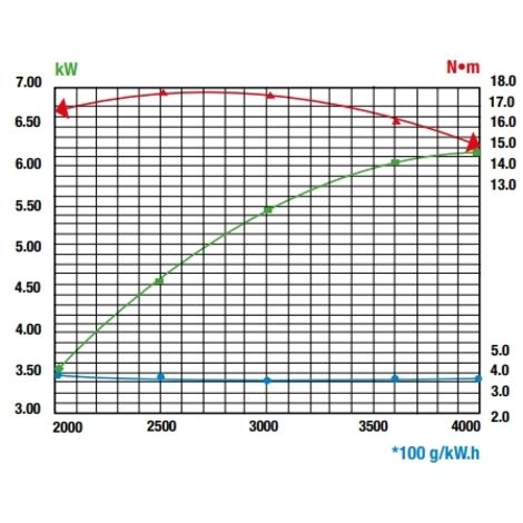 Kompletter Motor RATO R300 300 cc zylindrische horizontale Welle 25,4 ...