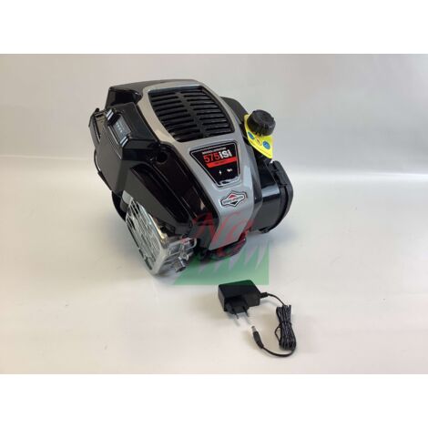 Kompletter BRIGGS&STRATTON 575iSi 150cc 22x60 VL Elektromotor mit Batterieladegerät
