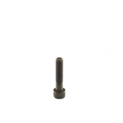 Spannfeder für magnetische Kupplung passend für Alpina BT84B 2T2010224/A12 (2019