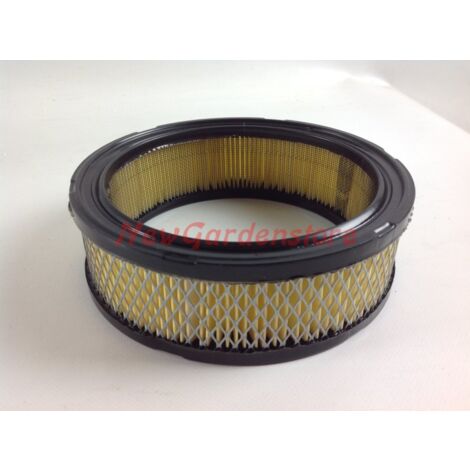 Filtro de aire motor cortacésped compatible BRIGGS & STRATTON 392642 - 394018 (1/4)