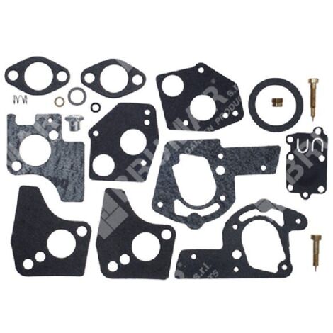 Kit de reparación para carburadores BRIGGS & STRATTON 494624 - 495606 - 006640