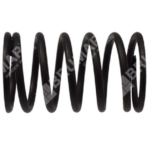 Muelle de válvula para motores LONCIN - 049045