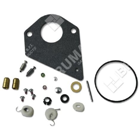 Kit de reparación para carburadores BRIGGS & STRATTON 497535 - 495799 - 690192 - 026247
