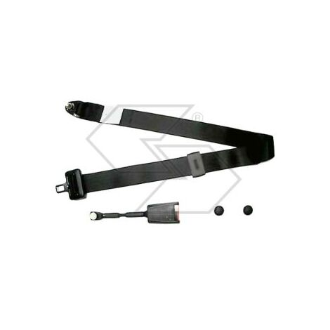 Kit cinturón de seguridad estático NEWGARDENSTORE A02965