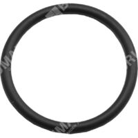 Anillo de estanqueidad para desbrozadoras de ruedas BLUE BIRD N23003 - 022747