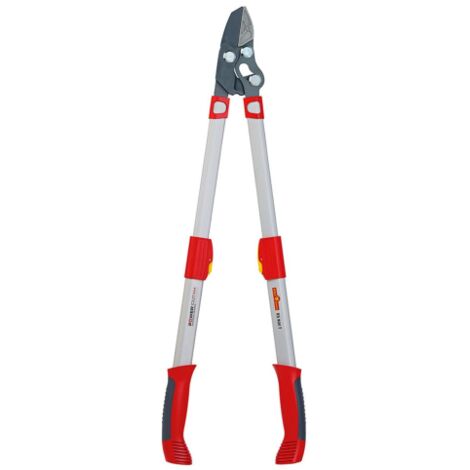 TRONCARAMI TELESCOPICO WOLF GARTEN POWER CUT RS 900 T
