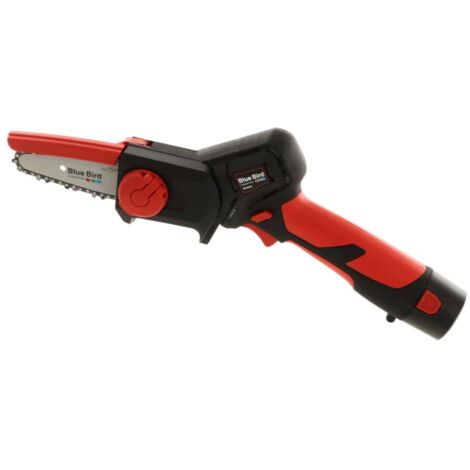 POTATORE A BATTERIA BLUE BIRD CS 22-04 CON 2 BATTERIE 2.5 AH (1/5)
