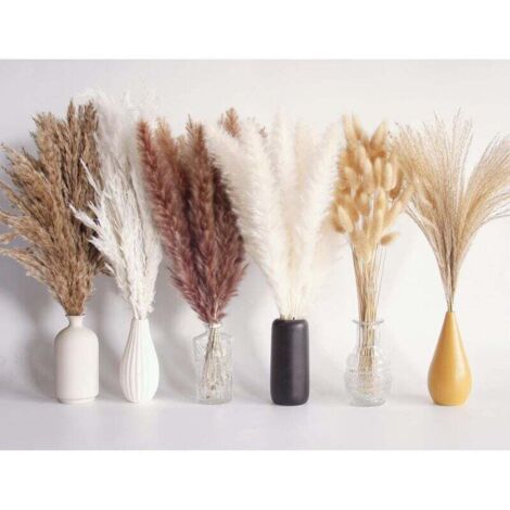 110 pezzi di erba di pampa secca, decorazione da tavola boho, fiori secchi a forma di coda di coniglio, erba di pampa marrone, erba di pampa bianca per matrimoni, decorazioni per la casa, feste rustic