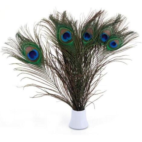 Promozione, vere piume di pavone sociali, 25-30 cm, ottima decorazione per matrimoni, Natale, Halloween, casa (20 pezzi ovviamente), AAFGVC