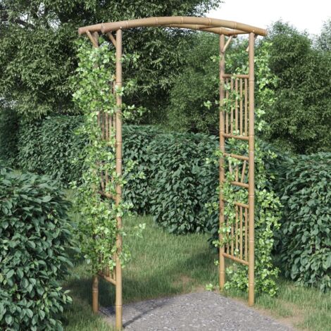 Vidaxl – Arche de jardin en bambou 118x40x187 cm – Construction résistante aux intempéries – Pour plantes grimpantes – Style ferme rustique