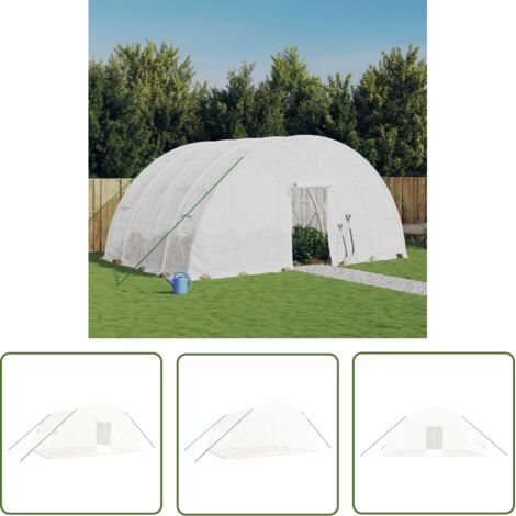 The Living Store Serre avec cadre en acier blanc 24 m² 6x4x2,85 m - Serre De Jardin - Abri Jardin - Serrez Horticulture - Tunnel De Culture - Greenhouse Gardening