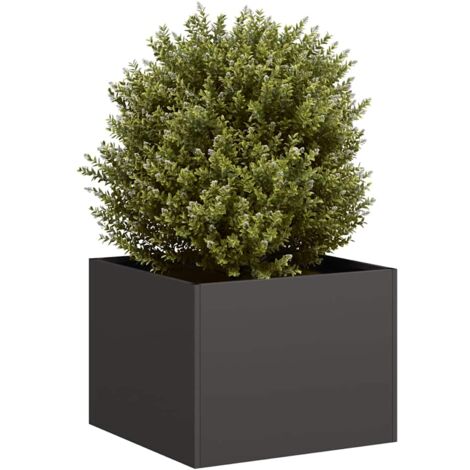 Vidaxl – Jardinière en acier laminé à froid 40x40x30 cm – Fond ouvert pour drainage efficace – Idéal pour plantes, légumes et herbes